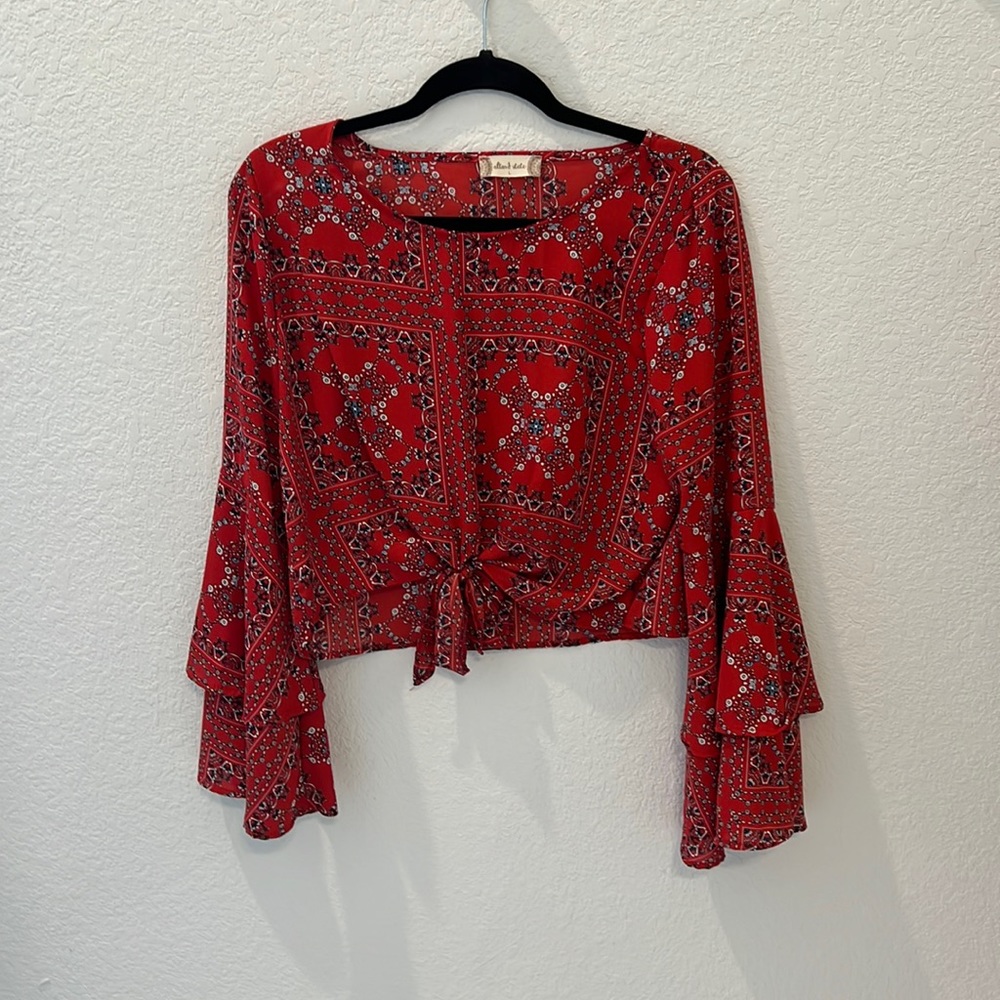 Worn Once long sleeve crop